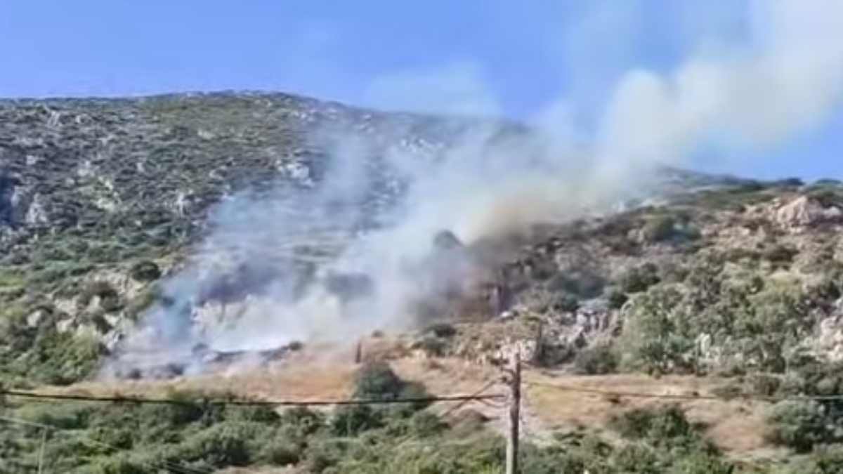 Φωτιά στην Κεφαλονιά – Καίει στην περιοχή Μαρκόπουλο
