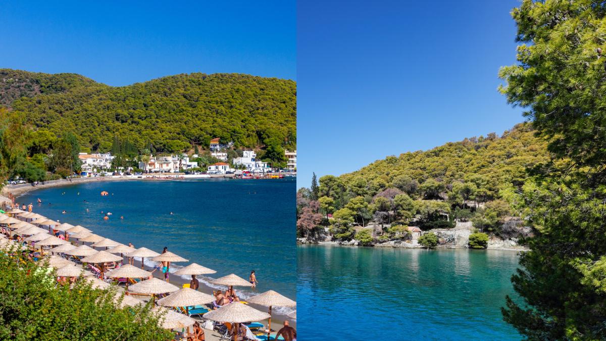 Γραφικοί όρμοι, σμαραγδένια νερά και πυκνά δάση: 5+1 παραλίες του Πόρου που θα σας σαγηνεύσουν