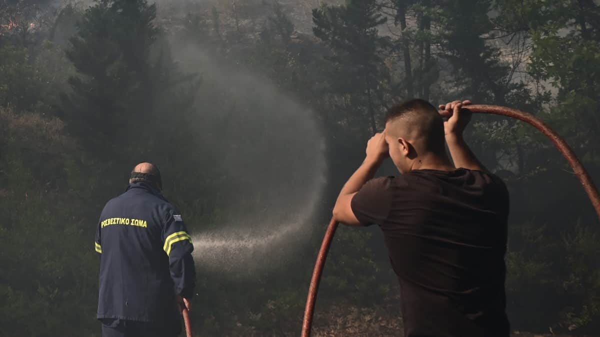 Φωτιά στον Βαρνάβα Αττικής: Μήνυμα από το 112 «ήχησε» για τις περιοχές Σταμάτα, Διόνυσο, Ροδόπολη και Άγιο Στέφανο