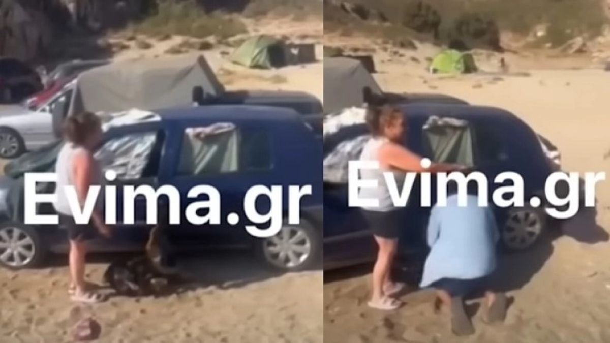 Κτηνωδία στην Εύβοια: Παράτησαν για ώρες σκύλο μέσα στο αυτοκίνητο! Περαστικοί έσπασαν το τζάμι για να τον σώσουν από θερμοπληξία και οι ιδιοκτήτες έκαναν μήνυση