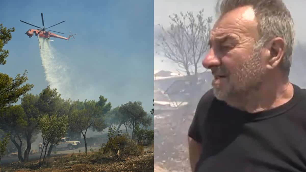 Φωτιά στην Αττική: «Άκουγα τα ζώα μου να πεθαίνουν» – Σοκάρει κτηνοτρόφος στο Νταού Πεντέλης (video)
