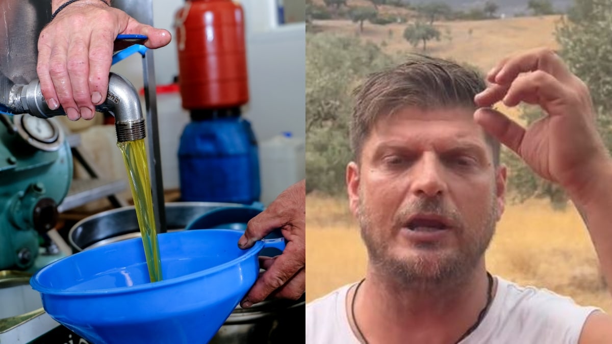 «Αυτό είναι το καλύτερο ελαιόλαδο» – Έτσι θα καταλάβεις ότι τρως νοθευμένο λάδι στο φαγητό σου (video)