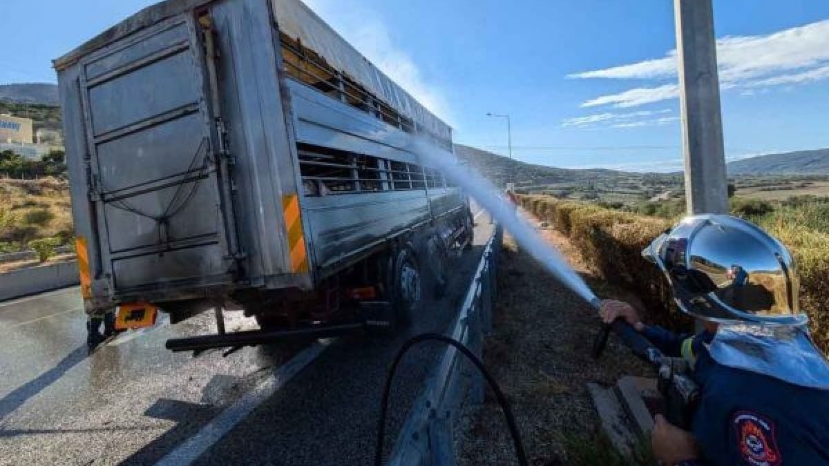 Φωτιά στην Αμφιλοχία: Νταλίκα που μετέφερε ζώα «τυλίχτηκε» στις φλόγες στην Ιονία Οδο (video)