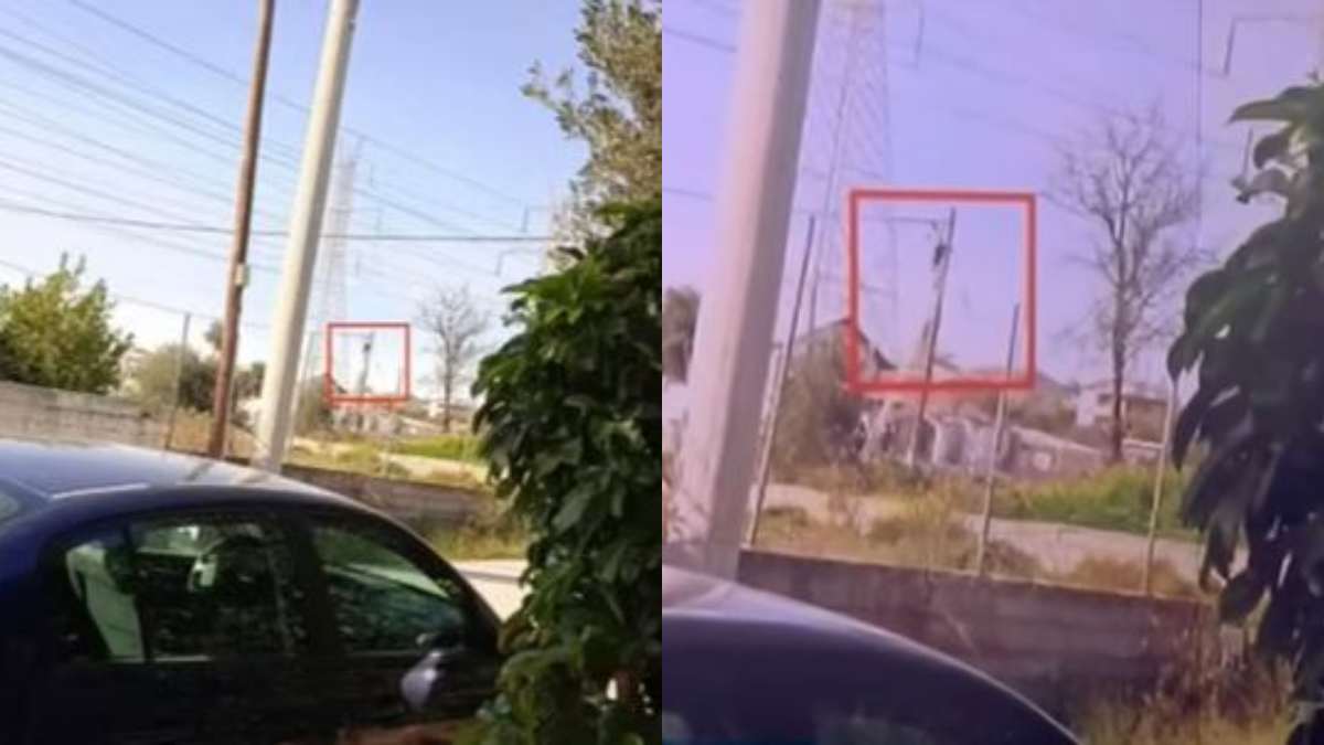 Γέρακας: Ρομά ανέβηκε πάνω σε κολώνα για να κλέψει ρεύμα την ώρα που η κάμερα του ΣΚΑΙ ήταν on air! (video)