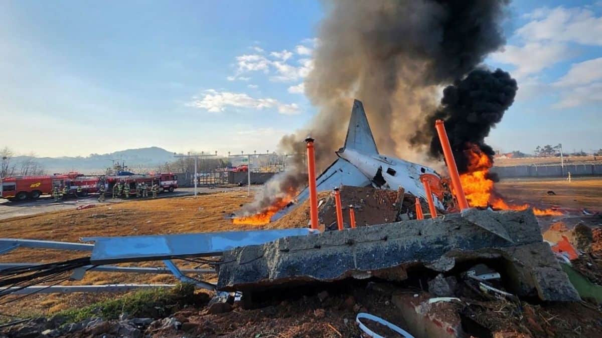 Ανατροπή με την συντριβή του αεροπλάνου στην Νότια Κορέα! «Δεν ευθύνονται τα πουλιά» λένε οι ειδικοί