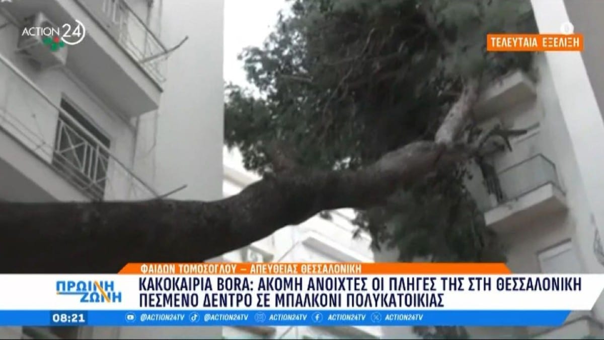 Ανοιχτές οι «πληγές» της κακοκαιρίας Bora στη Θεσσαλονίκη: Πεσμένο δέντρο παραμένει σε μπαλκόνι πολυκατοικίας (video)