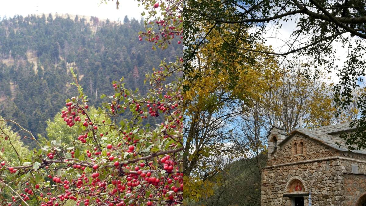 Φύση, ιστορία, μονοπάτια: Ο χειμερινός προορισμός – στολίδι στην καρδιά της Αρκαδίας