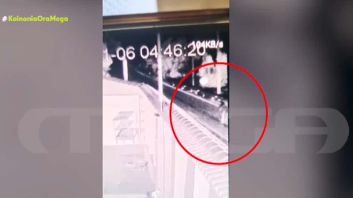 Σοκαριστικό βίντεο από την φονική σύγκρουση ΙΧ με άλογα στη Μυτιλήνη που στοίχισε τη ζωή σε 19χρονο και δύο ζώα