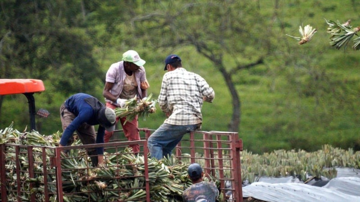 Επιστροφή ΕΦΚ, φθηνότερο ρεύμα και στήριξη κτηνοτροφίας: Αυτά είναι τα 6 νέα μέτρα της κυβέρνησης για τους αγρότες