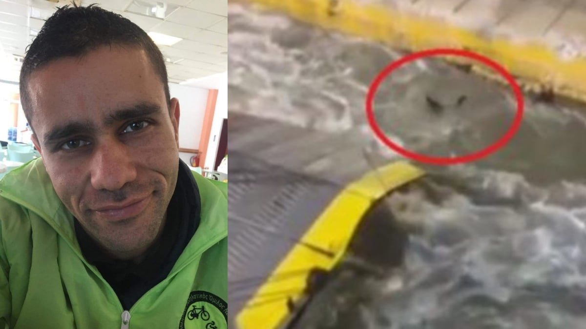 «Ξέρω ότι δε βγαίνει κανείς ζωντανός από αυτά τα νερά» – Τι κατέθεσε ο ύπαρχος που έσπρωξε τον Αντώνη Καργιώτη από το πλοίο στον Πειραιά