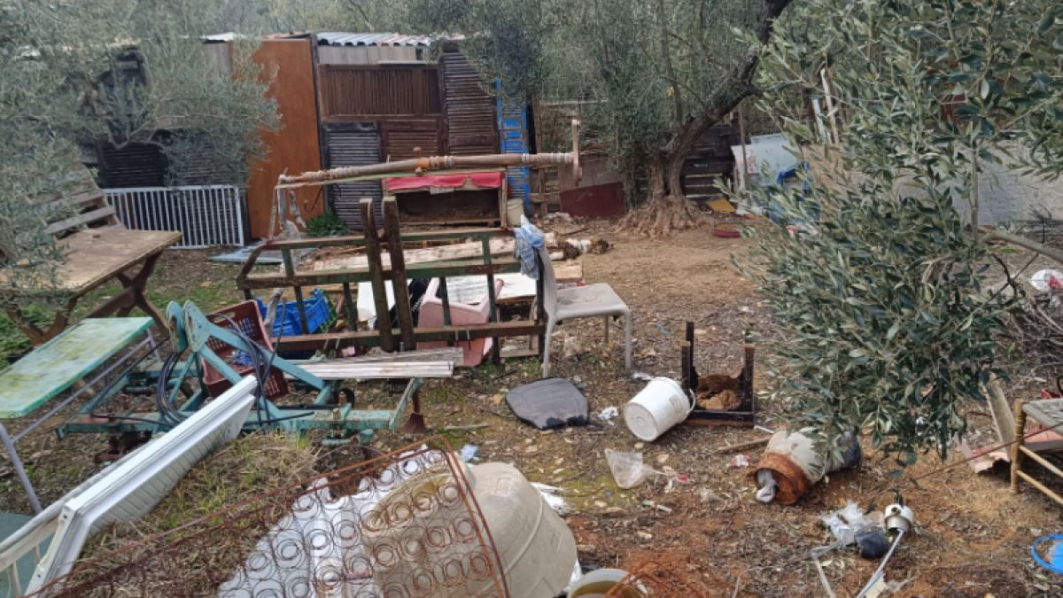 Κτηνωδία: 40χρονος είχε παρατημένα σε χωράφι σκυλάκια χωρίς νερό και τροφή, κατέληξε το ένα