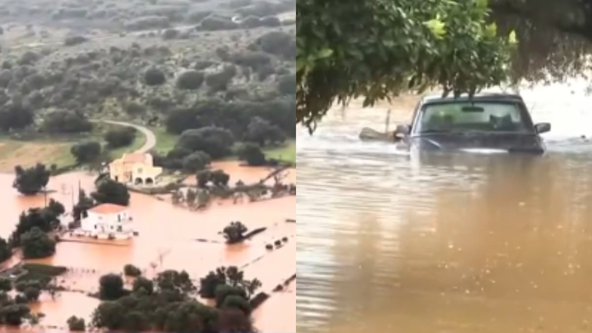 Στο έλεος της κακοκαιρίας η Κεφαλονιά: Τουλάχιστον 25 πλημμυρισμένα σπίτια – Σε απόγνωση οι κάτοικοι