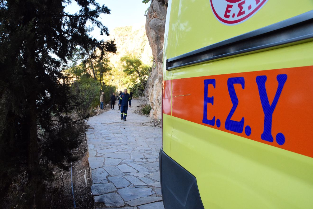Συναγερμός στο Βόλο: Σκύλος δάγκωσε 9 μηνών βρέφος στο πρόσωπο!