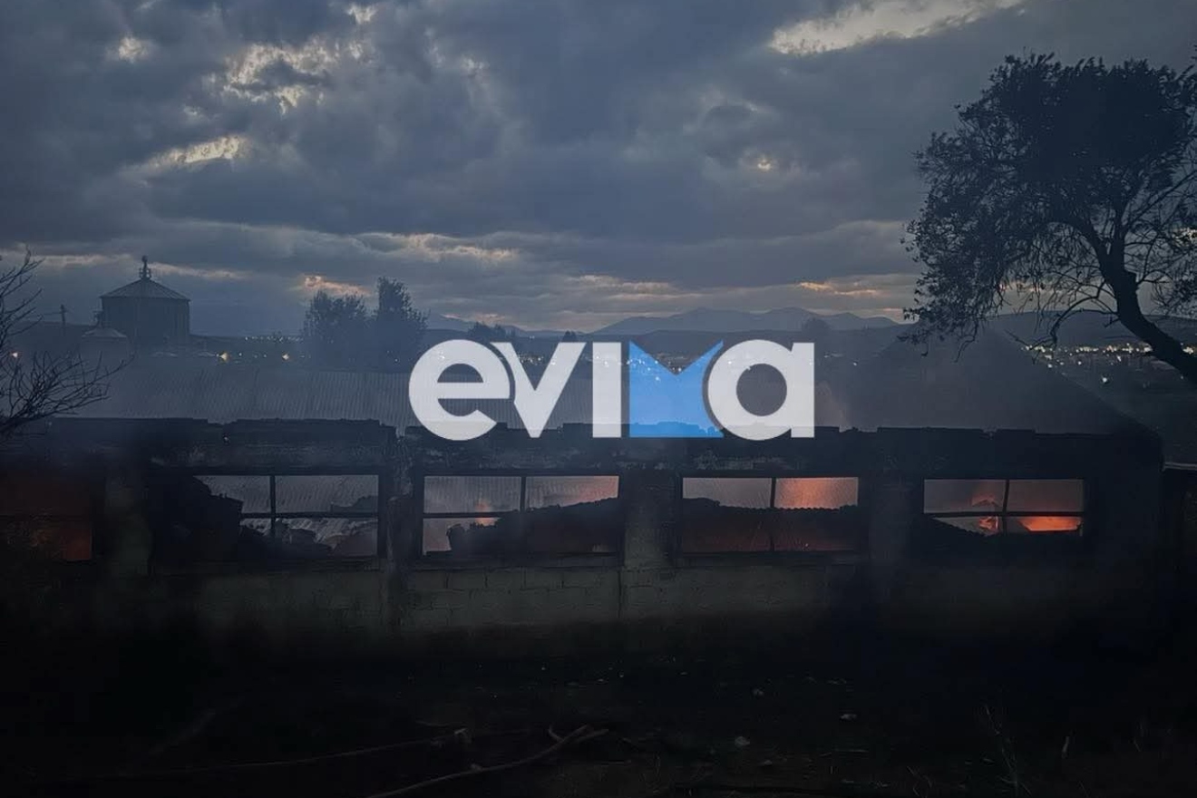 Κάηκε ολοσχερώς χοιροστάσιο στην Εύβοια – Νεκρά δεκάδες ζώα και τα μικρά τους